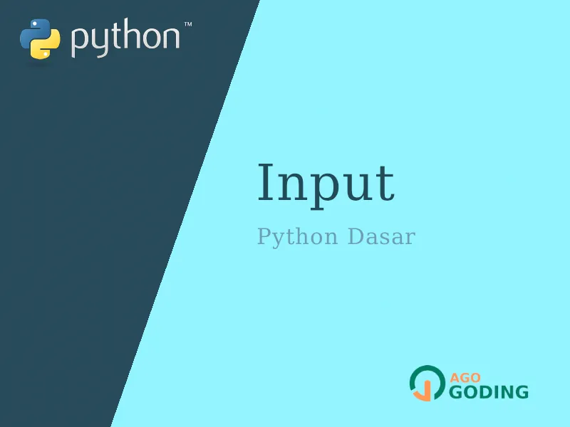 Python Dasar: Mengambil Input 🐍